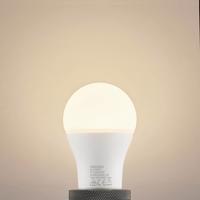 Arcchio LED izzó E27 A60 13,5W opál 3000K 1521lm