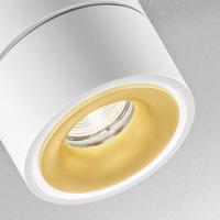 Egger Clippo Duo LED spot, fehér-arany, 2 700 K